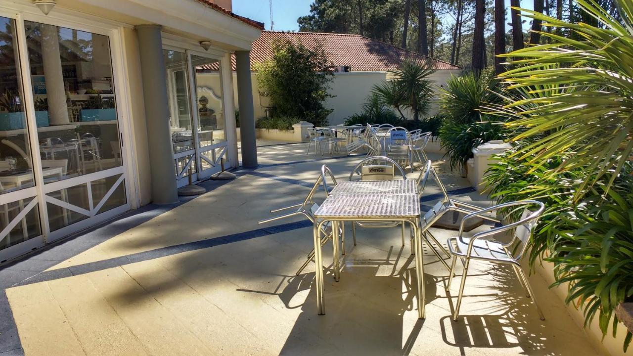 Garden View 2 Dormitorios Con Jardin Y Parrillero Hasta 7 Personas ปุนตา เดล เอสเต ภายนอก รูปภาพ